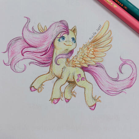Pony